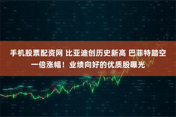 手机股票配资网 比亚迪创历史新高 巴菲特踏空一倍涨幅！业绩向好的优质股曝光